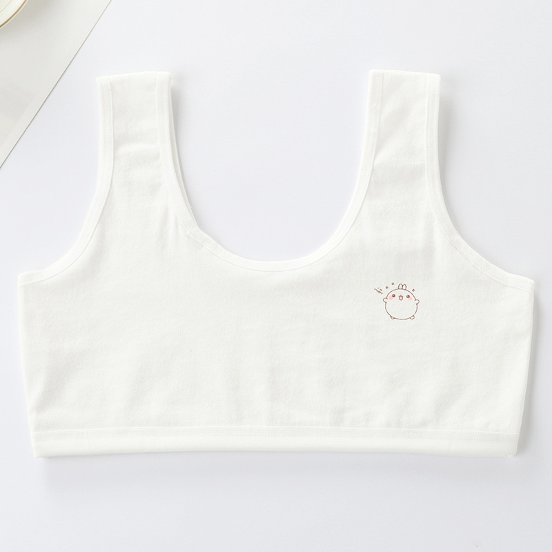 Tüdrukute aluspesu, õpilastele arengu alguses, keskkooliõpilastele, terasest rõngata topeltrinnahoidja, tüdrukute õlarihm, suur laste vest