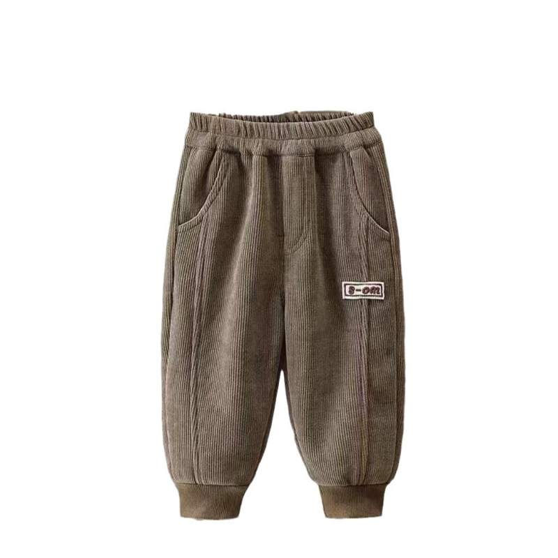 Poiste püksid 2024 Laste kevad- ja sügispüksid Laste kordvelvetist püksid Ilusad vabaaja ühes tükis fliisvoodriga