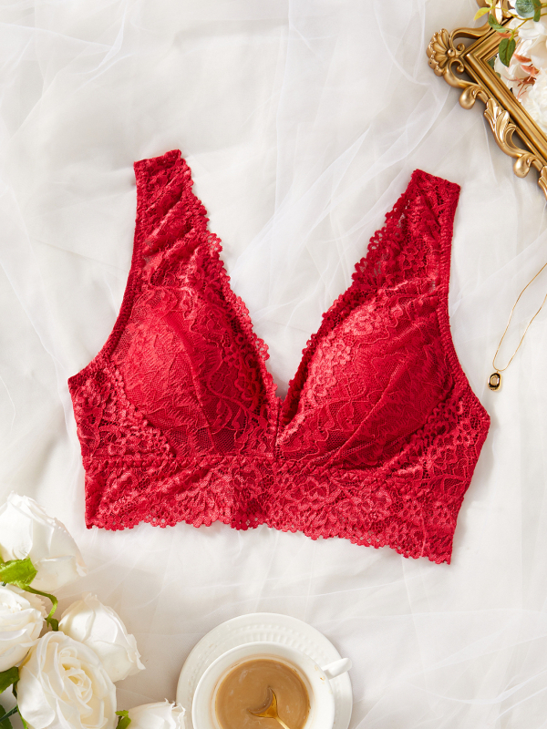 Prantsuse stiilis traadita rinnahoidja pitsist vest, piiriülene Euroopa ja Ameerika seksikas pitsist Amazoni rinnahoidja, laos, ilu tagasi