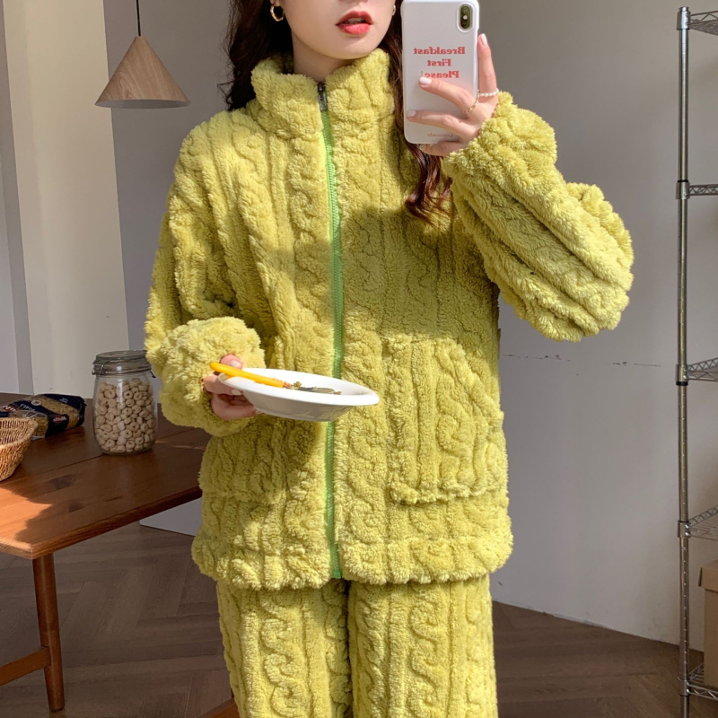 2024 Διασυνοριακές Νέες Βελούδινες Πιτζάμες Γυναικών Χειμερινής Αύξησης με Πυκνό Μονόχρωμο Ζακέτα με Φερμουάρ για το Σπίτι Ρούχα Εξαγωγή στη Νοτιοανατολική Ασία
