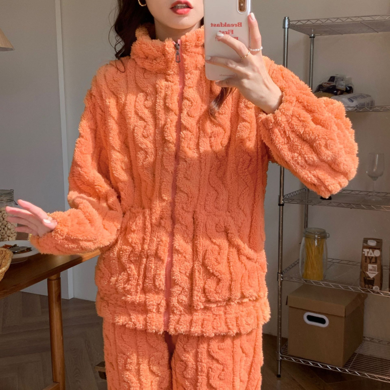 2024 Διασυνοριακές Νέες Βελούδινες Πιτζάμες Γυναικών Χειμερινής Αύξησης με Πυκνό Μονόχρωμο Ζακέτα με Φερμουάρ για το Σπίτι Ρούχα Εξαγωγή στη Νοτιοανατολική Ασία