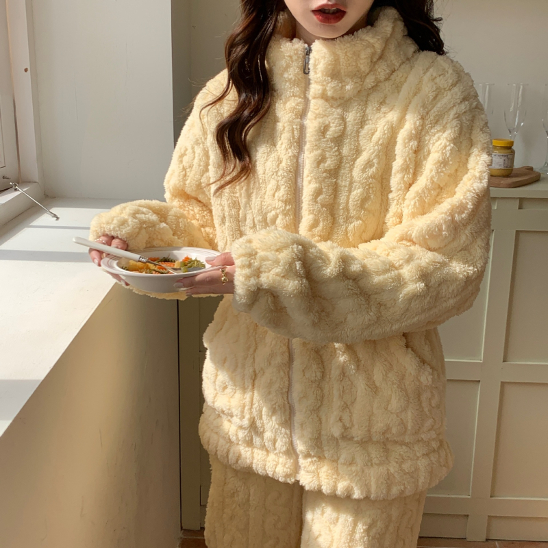 2024 Διασυνοριακές Νέες Βελούδινες Πιτζάμες Γυναικών Χειμερινής Αύξησης με Πυκνό Μονόχρωμο Ζακέτα με Φερμουάρ για το Σπίτι Ρούχα Εξαγωγή στη Νοτιοανατολική Ασία