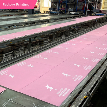 Vaikiška šokių kuprinė „Dance Bag“, didelės talpos moteriškas šokių drabužių laikymo krepšys, šokių rankinė per petį.