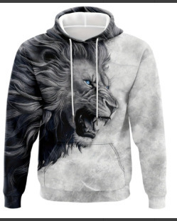 Prekogranična vanjska trgovina, pulover s kapuljačom za slobodno vrijeme, sportski 3D printing pulover s dugim rukavima, široki pulover s kapuljačom