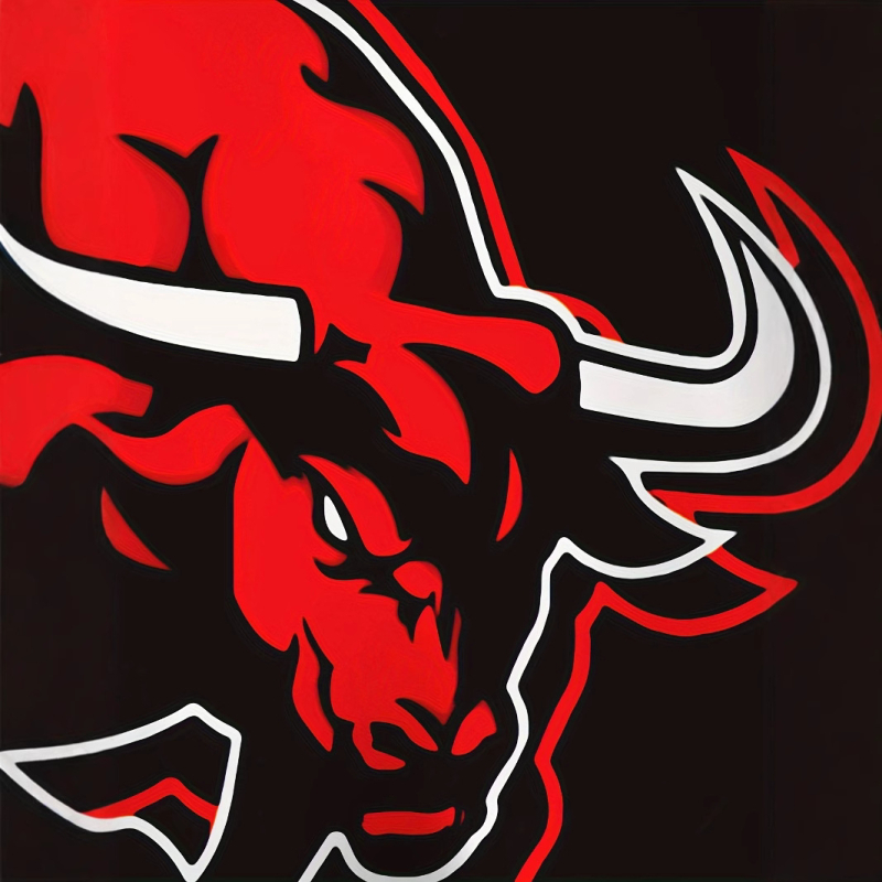 Prekogranična vanjska trgovina, pulover s kapuljačom za slobodno vrijeme, sportski 3D printing pulover s dugim rukavima, široki pulover s kapuljačom