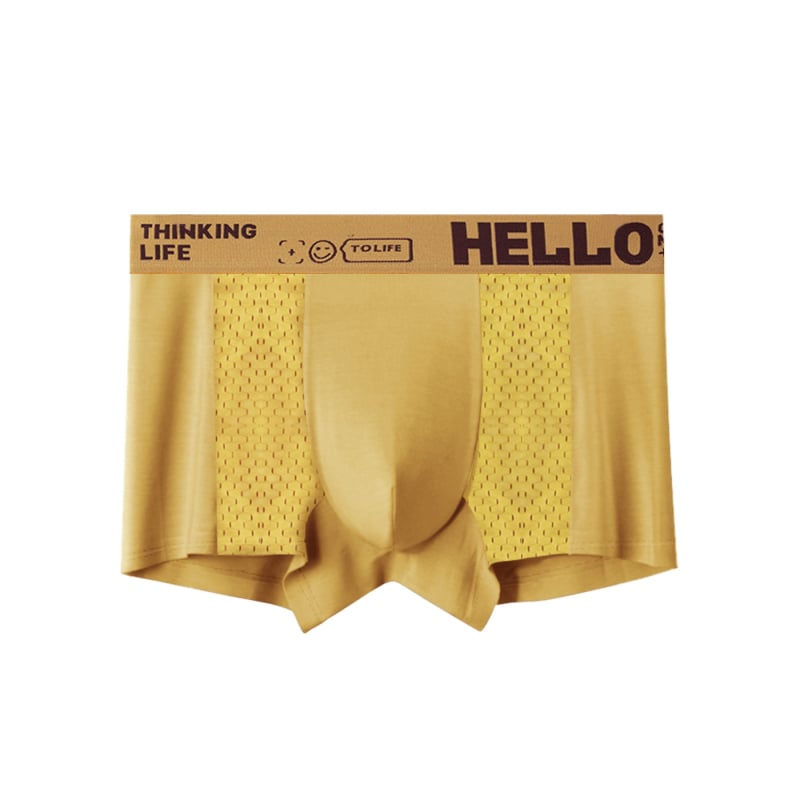 Lenjerie intimă pentru bărbați, vară, vânzare fierbinte, bărbați, plasă de mătase gheață, boxeri, pantaloni scurți de vară subțiri, respirabil, aer condiționat