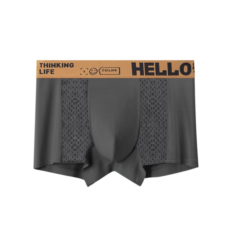 Lenjerie intimă pentru bărbați, vară, vânzare fierbinte, bărbați, plasă de mătase gheață, boxeri, pantaloni scurți de vară subțiri, respirabil, aer condiționat