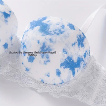 Διασυνοριακές εκρήξεις σέξι εσώρουχα εργοστάσιο πηγής δαντέλας σουτιέν εκτύπωσης με ατσάλινο δαχτυλίδι άνετα μαζεμένα εσώρουχα χονδρικής