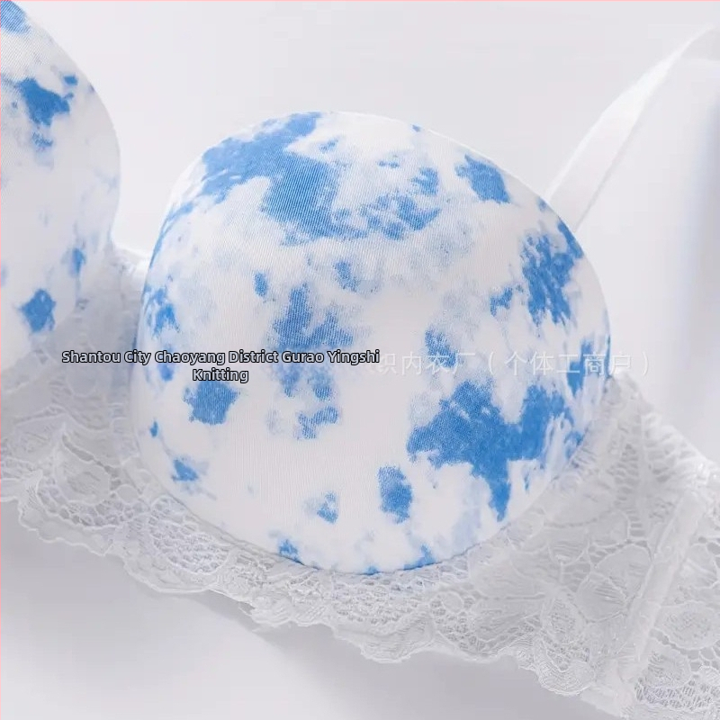 Трансгранични експлозии секси бельо източник фабрика дантелен печат сутиен със стоманен пръстен удобно събрано бельо на едро