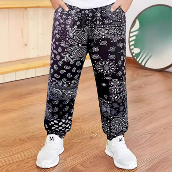 2024 Корейски стил за момчета, висококачествени нови спортни панталони, тънки есенни дишащи ежедневни връхни панталони