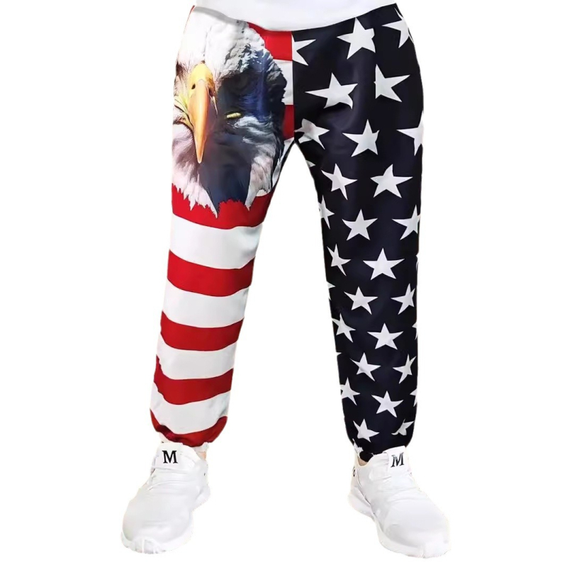 2024 Корейски стил за момчета, висококачествени нови спортни панталони, тънки есенни дишащи ежедневни връхни панталони