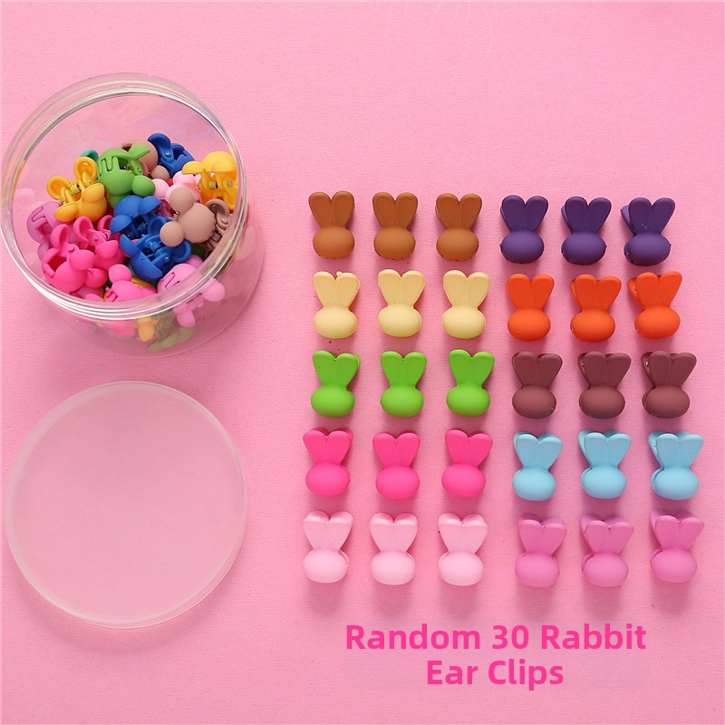 50 konservuotų vaikiškų mažų gėlių formos plaukų segtukų, princesės, mieli galvos apdangalai, kūdikių mergaičių plaukų aksesuarai, animacinių filmukų kirpčiukai, maža segtuko segtukas