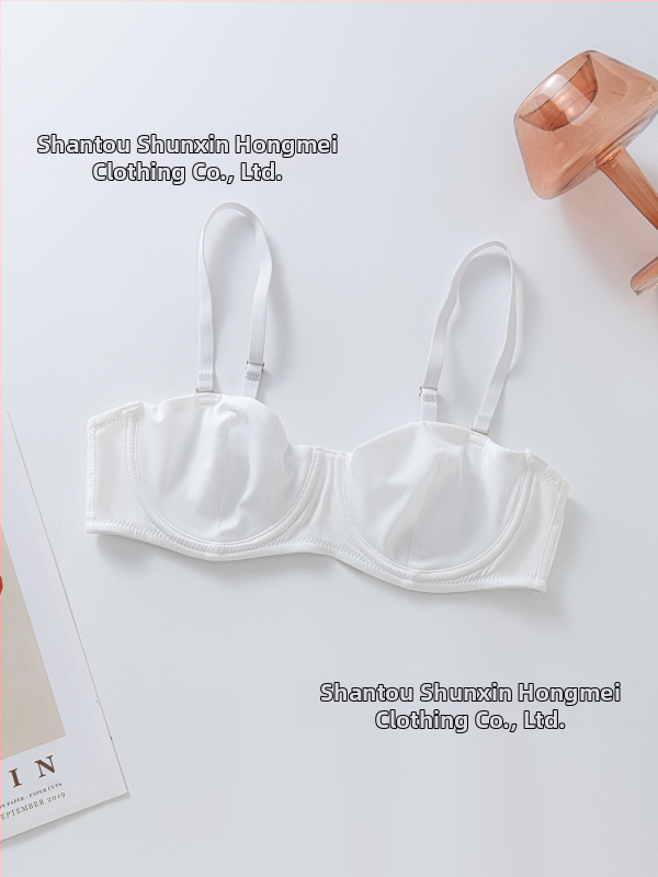 Seksualūs, surinkti apatiniai iš užsienio, temuShein su plieniniais žiedais, moteriškos liemenėlės gamintojai, parduodami didmeninėje prekyboje.