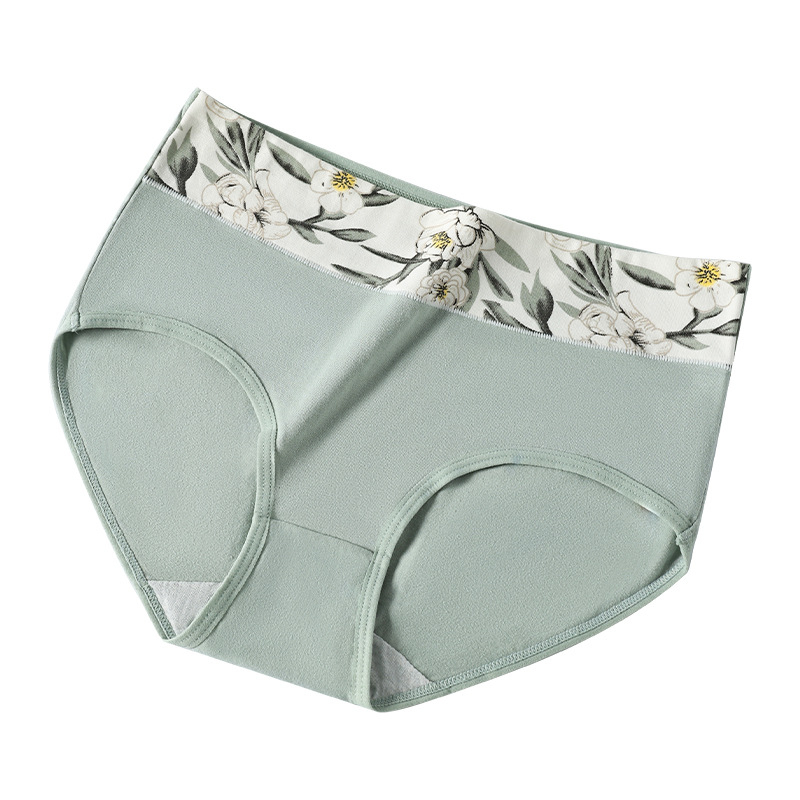 Piiriülene suur suurus 10A klassi antibakteriaalne aluspesu tüdrukutele, trükitud Euroopa ja Ameerika kõrge vöökohaga, kõhu kontrolli all hoidmiseks, paksudele tüdrukutele, õmblusteta puhas puuvill