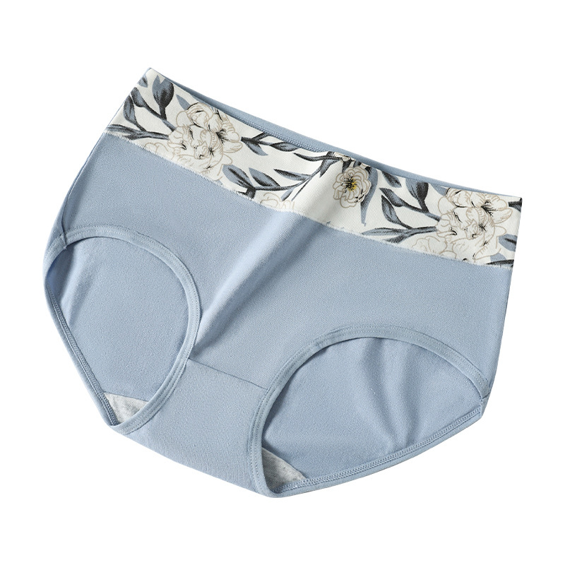 Piiriülene suur suurus 10A klassi antibakteriaalne aluspesu tüdrukutele, trükitud Euroopa ja Ameerika kõrge vöökohaga, kõhu kontrolli all hoidmiseks, paksudele tüdrukutele, õmblusteta puhas puuvill