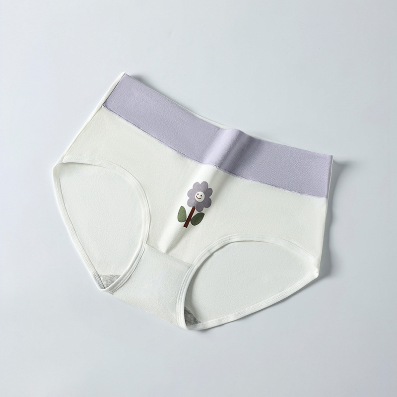 Piiriülene suur suurus 10A klassi antibakteriaalne aluspesu tüdrukutele, trükitud Euroopa ja Ameerika kõrge vöökohaga, kõhu kontrolli all hoidmiseks, paksudele tüdrukutele, õmblusteta puhas puuvill