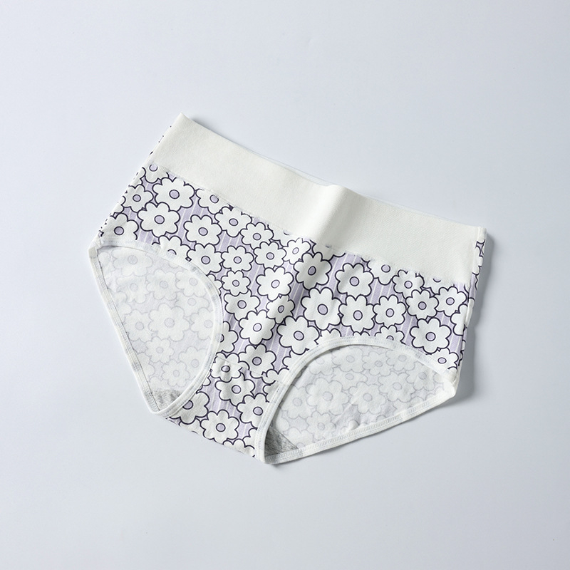 Piiriülene suur suurus 10A klassi antibakteriaalne aluspesu tüdrukutele, trükitud Euroopa ja Ameerika kõrge vöökohaga, kõhu kontrolli all hoidmiseks, paksudele tüdrukutele, õmblusteta puhas puuvill