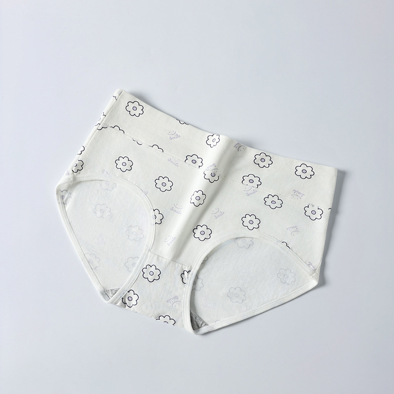 Piiriülene suur suurus 10A klassi antibakteriaalne aluspesu tüdrukutele, trükitud Euroopa ja Ameerika kõrge vöökohaga, kõhu kontrolli all hoidmiseks, paksudele tüdrukutele, õmblusteta puhas puuvill