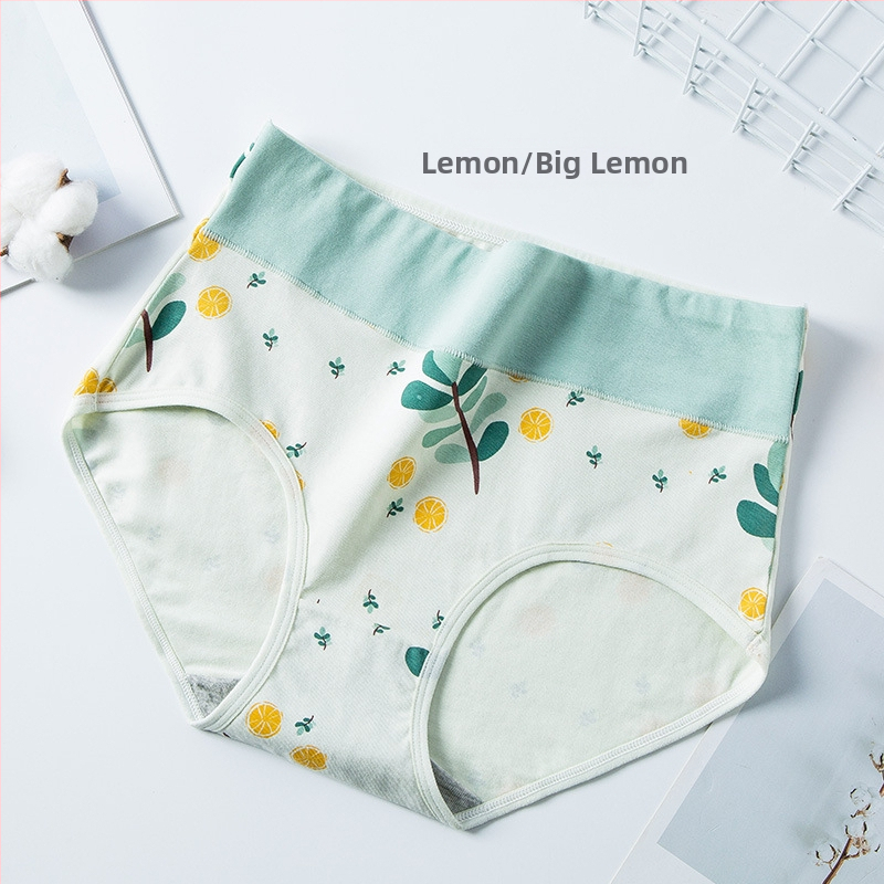 Piiriülene suur suurus 10A klassi antibakteriaalne aluspesu tüdrukutele, trükitud Euroopa ja Ameerika kõrge vöökohaga, kõhu kontrolli all hoidmiseks, paksudele tüdrukutele, õmblusteta puhas puuvill