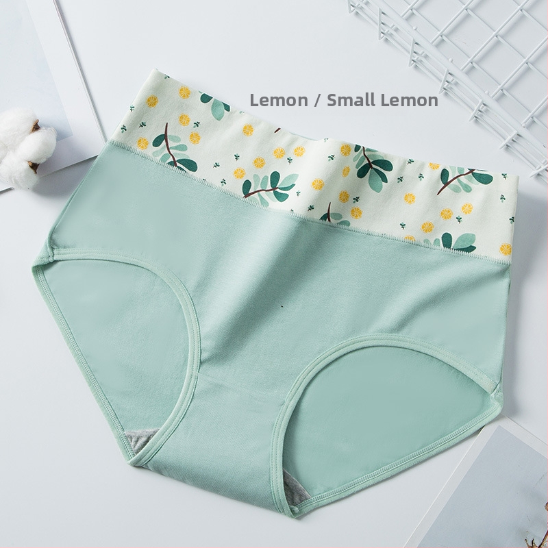 Piiriülene suur suurus 10A klassi antibakteriaalne aluspesu tüdrukutele, trükitud Euroopa ja Ameerika kõrge vöökohaga, kõhu kontrolli all hoidmiseks, paksudele tüdrukutele, õmblusteta puhas puuvill