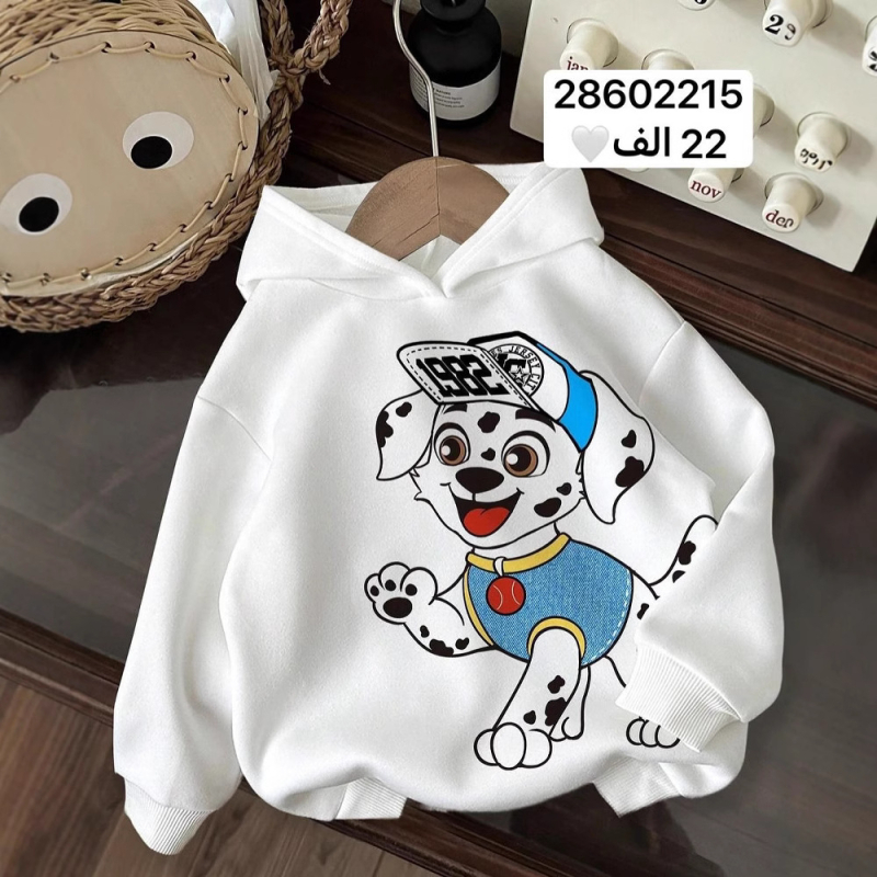 2024 proljetni i jesenski ležerni dječji neutralni crtani sportski dugi rukav s kapuljačom, dječji pulover s prekograničnom tehnologijom, generacija kose