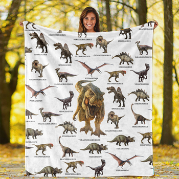 Dvipusė flanelinė antklodė, Helovino oro kondicionieriumi vėsinama snapinė, „CrossBorder“