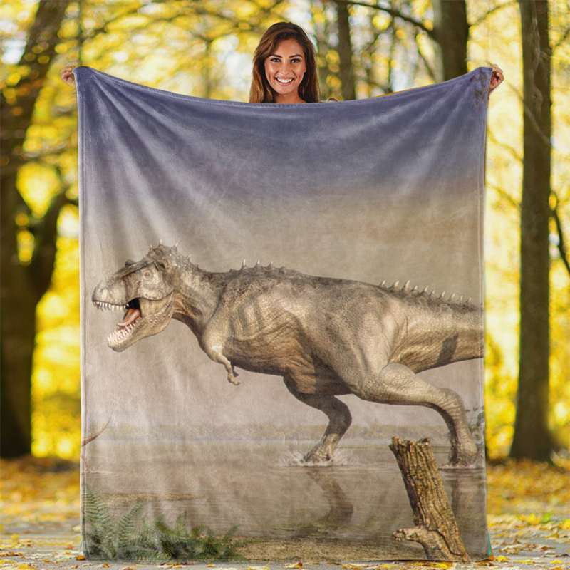 Dvipusė flanelinė antklodė, Helovino oro kondicionieriumi vėsinama snapinė, „CrossBorder“