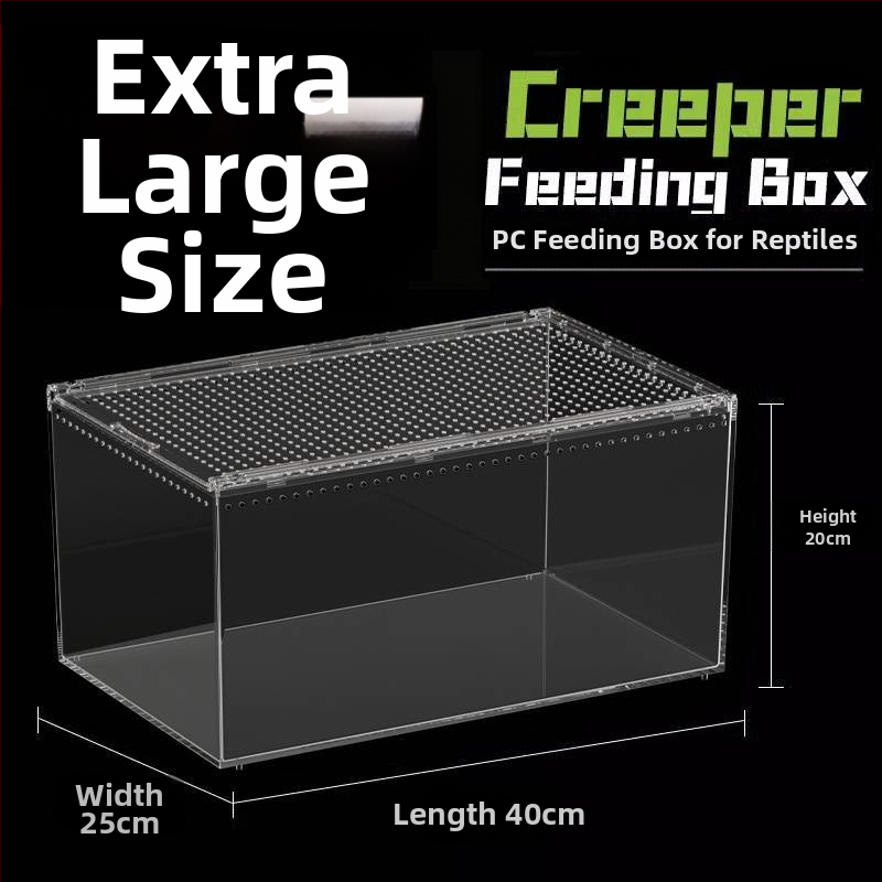 Акрилна интегрирана кутия за хранене, против изтичане на вода, катерене за домашни любимци, екологична кутия, паяк, рогата жаба, Shougong, змия, хранене на влечуги