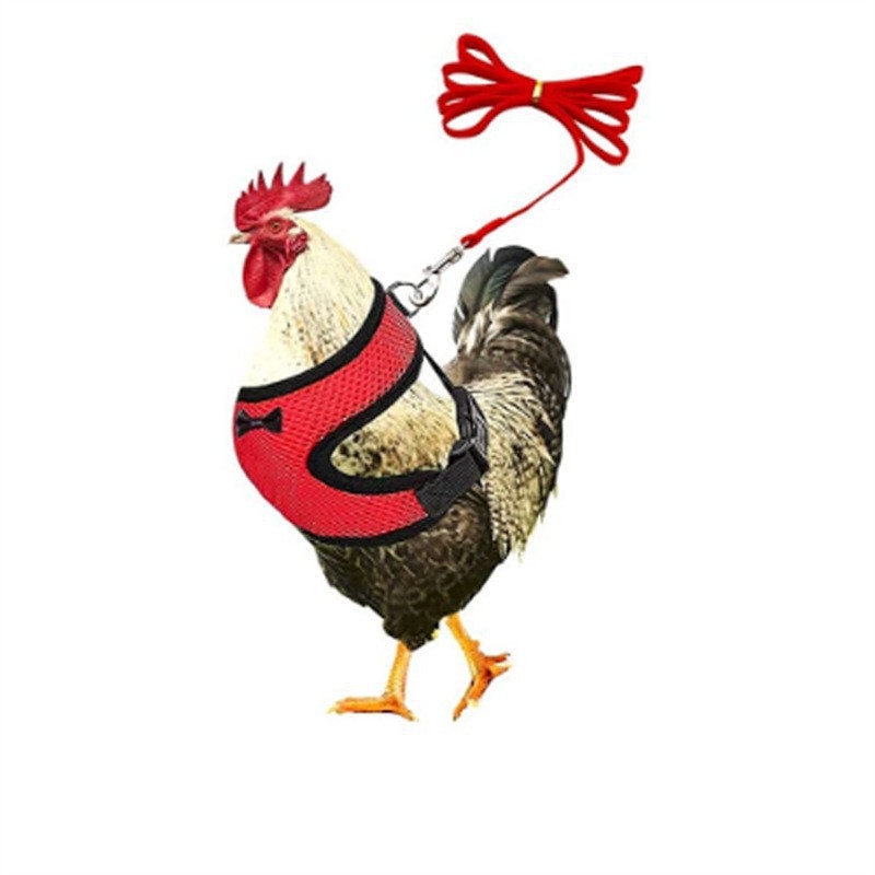 Жилетка за домашни птици, гъски, пиле, патици, нагръдник, въже за ходене, пиле, удобно, дишащо, регулируемо, за котки, малки кучета