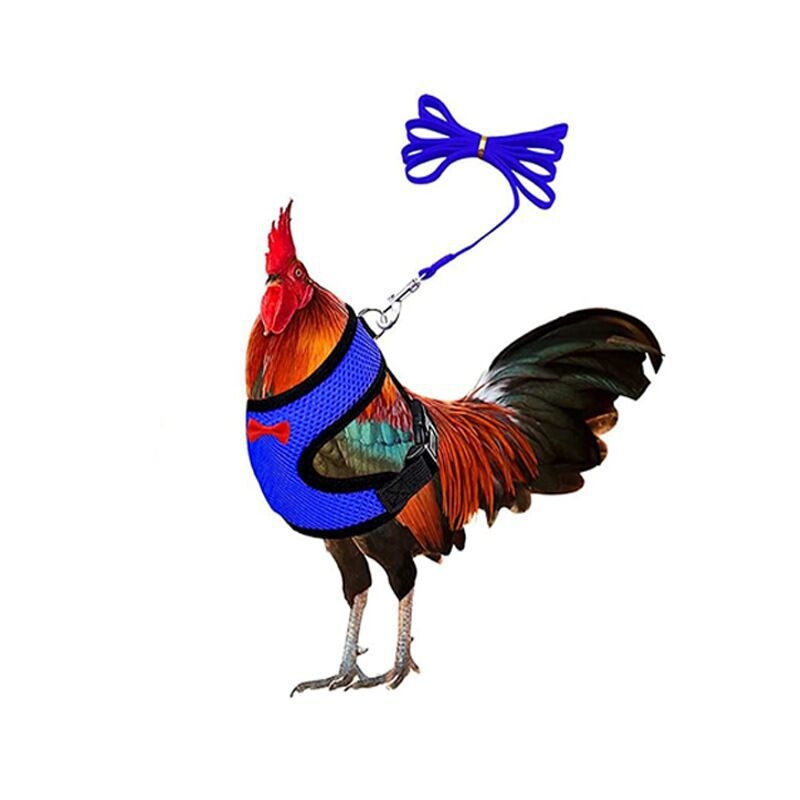 Жилетка за домашни птици, гъски, пиле, патици, нагръдник, въже за ходене, пиле, удобно, дишащо, регулируемо, за котки, малки кучета