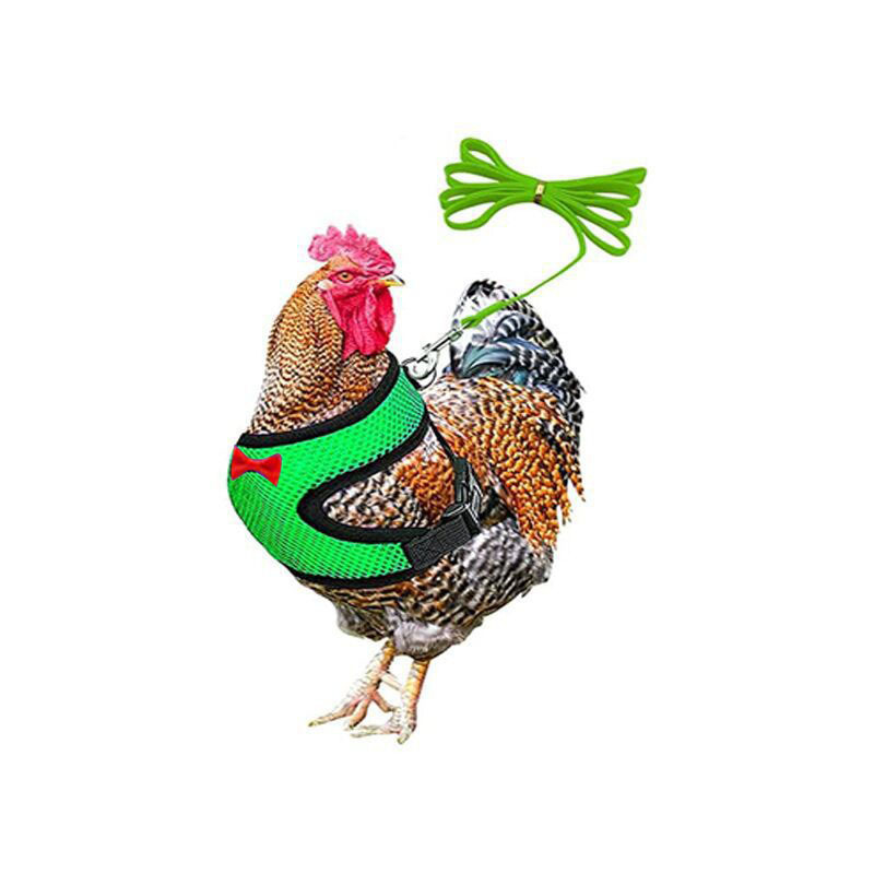 Жилетка за домашни птици, гъски, пиле, патици, нагръдник, въже за ходене, пиле, удобно, дишащо, регулируемо, за котки, малки кучета