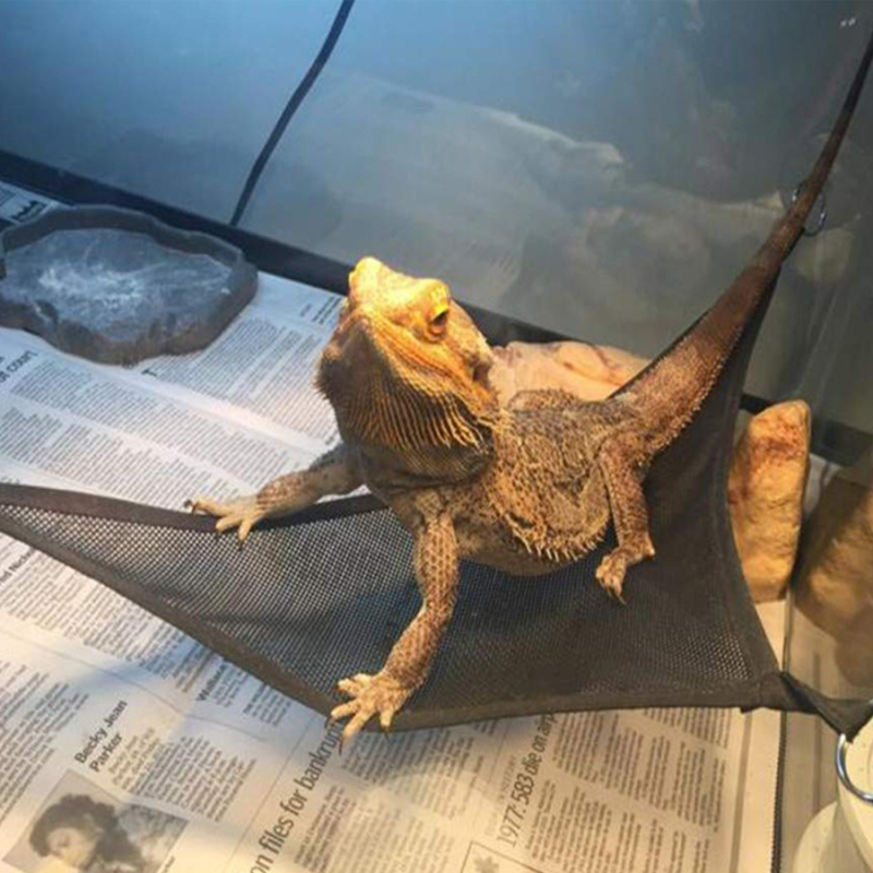 Хамак за гущери, влечуги, змии, малки домашни любимци, мрежа за катерене, хамак, играчка, люлка, двоен цвят