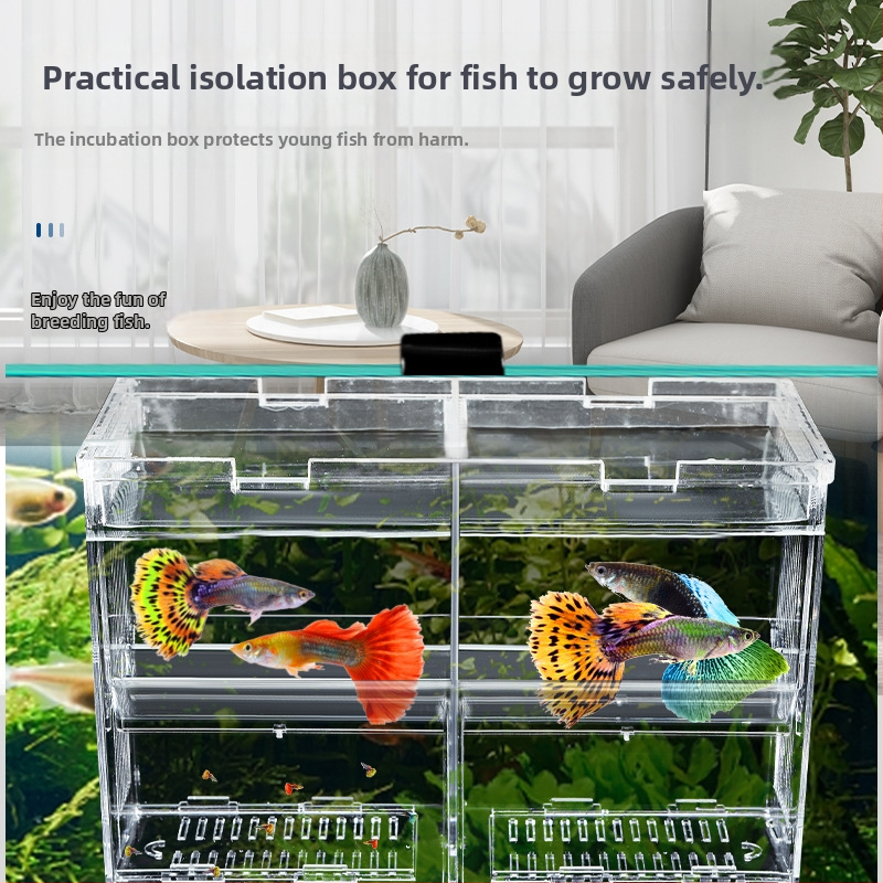Изолационна кутия за инкубация на аквариум, прозрачна кутия за размножаване тип помпена плоча, кутия за люпене на аквариум, кутия за рибки Бета, кутия за майка с кука