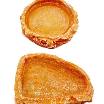 Roomajate toidukast, joogikauss, kilpkonnaroog, kilpkonna sisalik, madu ja muud roomajate söötja, vaigukäsitöö