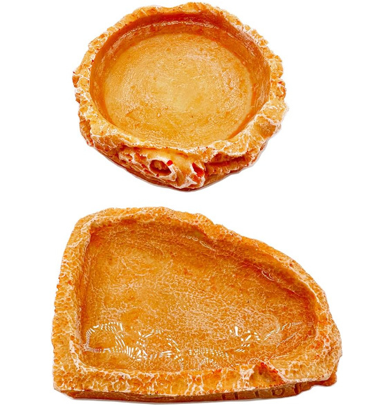 Roomajate toidukast, joogikauss, kilpkonnaroog, kilpkonna sisalik, madu ja muud roomajate söötja, vaigukäsitöö