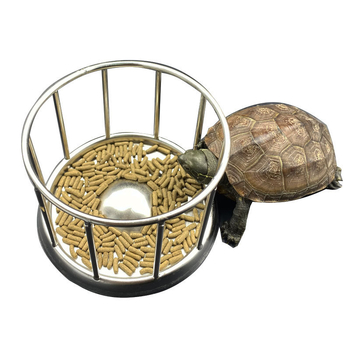 Кутия за хранене на костенурки, хранилка за храна, купа за храна от неръждаема стомана 304, катереща се купа за храна за домашни любимци, предназначена за трансгранично хранене, на склад