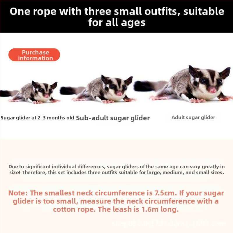 Въже за теглене на торбичка с мед, против бягство, против ухапване, хамстер, Златна мечка, катерица, домашни любимци, реквизити на едро