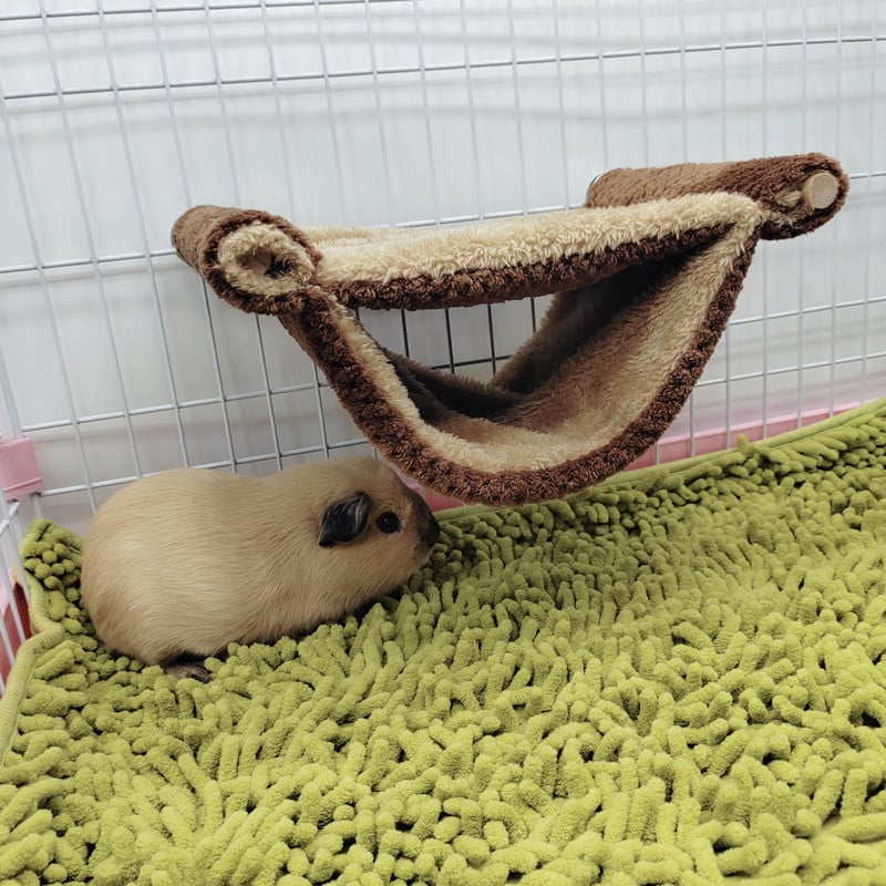 Holandiešu cūkas šūpuļtīkla ligzda, medus maisiņš, planieris, vāveres piekaramā ligzda, zelta lāča totoro platforma, maza mājdzīvnieka ligzda