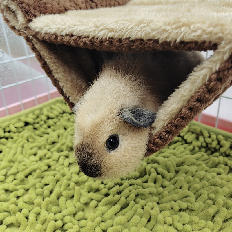 Holandské hojdacie hniezdo pre prasatá, vrecko na med, klzák, veverička, závesné hniezdo, zlatý medveď, platforma Totoro, hniezdo pre malé domáce zvieratá