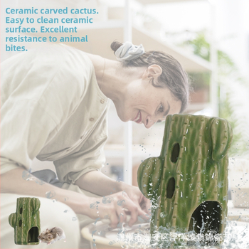 Бутилка за вода с кактус, поилка за хамстер, чайник, керамична скоба, вертикална, златна мечка, холандско прасе, регулируеми материали за озеленяване