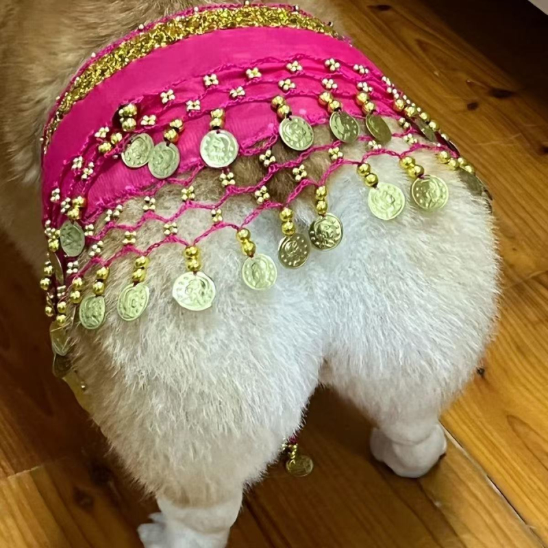 Интернет Celebrant Corgi Belly Dance Fart Chain Sequin Talia Chain Warm Dog Sexy Hip Shake Fart Dance Fart Dance Hip Hammer Hand Decoration