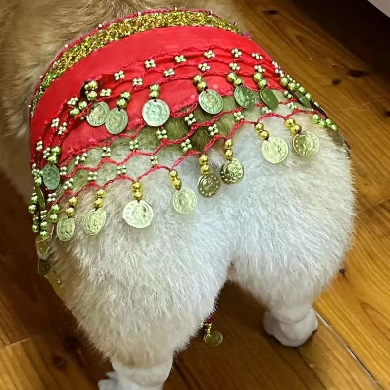 Διαδίκτυο Celebrant Corgi Belly Dance Fart Chain Sequin Waist Chain Warm Dog Sexy Hip Shake Fart Dance Hip Petal Decoration