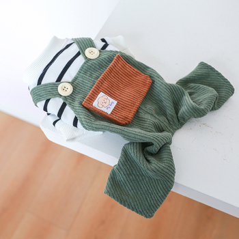 Pet Circle`i koerariided kevad- ja suveks uued velvetist velvetist keskmise ja väikese koera beebile mõeldud rohelise kohvi taskuga traksid