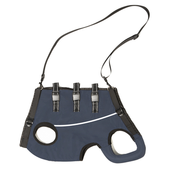 Tarpvalstybinė pagalba senyvo amžiaus neįgaliems šunims dėl naujų augintinių, pagalba seniems šunims dėl vaikščiojimo sutrikimų, pagalba seniems šunims dėl užpakalinių kojų silpnumo, pagalba seniems šunims