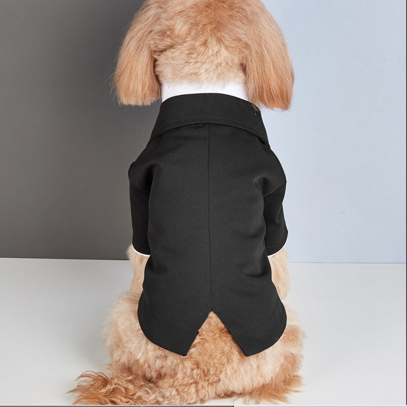 Pavasariniai nauji naminių gyvūnėlių drabužiai Teddy Fadou mažiems šunims, smulkūs šunys, šunų drabužiai, naminių gyvūnėlių mados prekės ženklo netikras dviejų dalių kostiumas