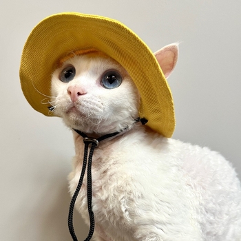 Шапка за куче, безкосместа котка с открити уши, малко куче, кученце корги, сенник, шапка за домашен любимец рибар, слънцезащитен крем, шапка за котка