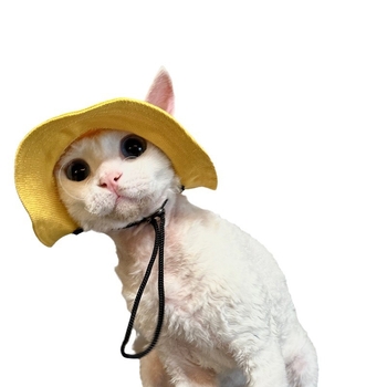 Шапка за куче, безкосместа котка с открити уши, малко куче, кученце корги, сенник, шапка за домашен любимец рибар, слънцезащитен крем, шапка за котка