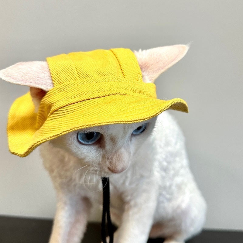 Шапка за куче, безкосместа котка с открити уши, малко куче, кученце корги, сенник, шапка за домашен любимец рибар, слънцезащитен крем, шапка за котка