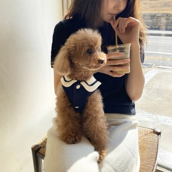 Lemmikloomariided Teddy Bears Väike koer Õunakass Puudel Schnery Yorkshire`i koera kostüüm Sügis