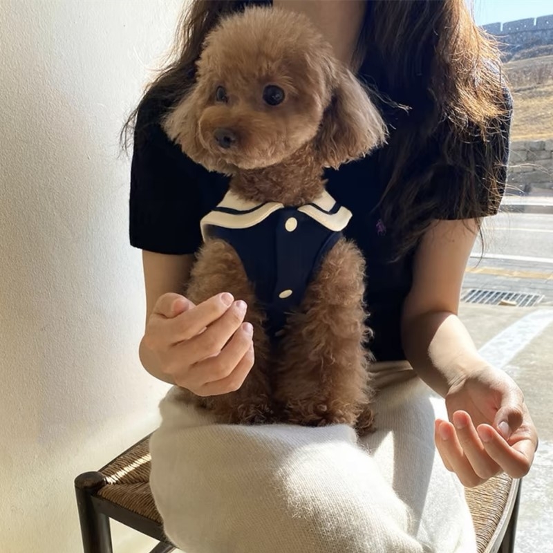 Lemmikloomariided Teddy Bears Väike koer Õunakass Puudel Schnery Yorkshire`i koera kostüüm Sügis